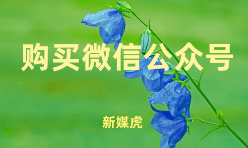 购买本地公众号-新媒虎 购买本地公众号-新媒虎